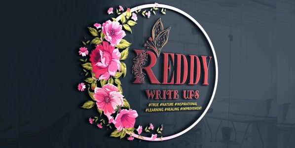 Reddy Writeups
